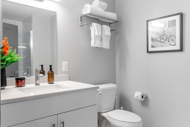 Bathroom, Amazing 2BR Downtown With 98 Walk Score, Hamilton