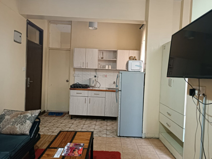 Others 3, Cool Luxurious Studios, Starehe