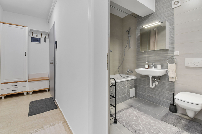 Bathroom, Karina 2BDR Apartment, Brasov