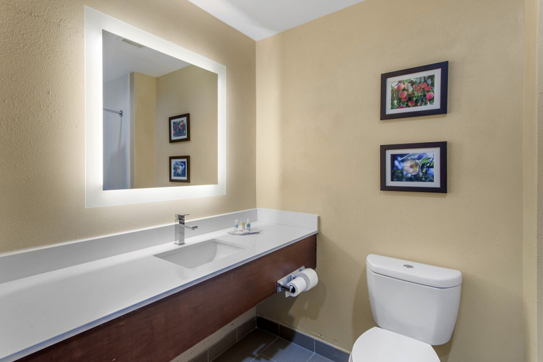 Bathroom 4, Comfort Suites Locust Grove Atlanta South, Henry
