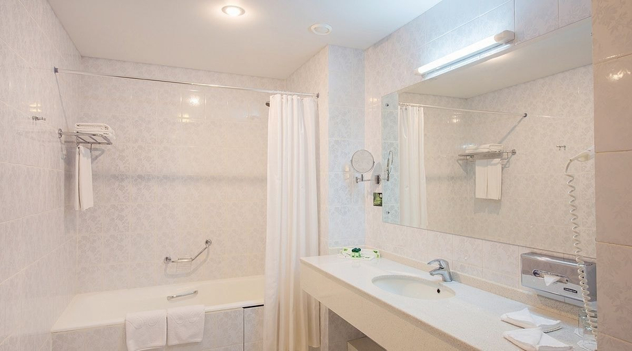 Bathroom 4, Areal Congress Hotel, Shchelkovskiy rayon