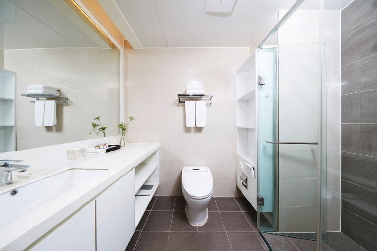 Bathroom 5, Fraser Place Namdaemun Seoul, Jung