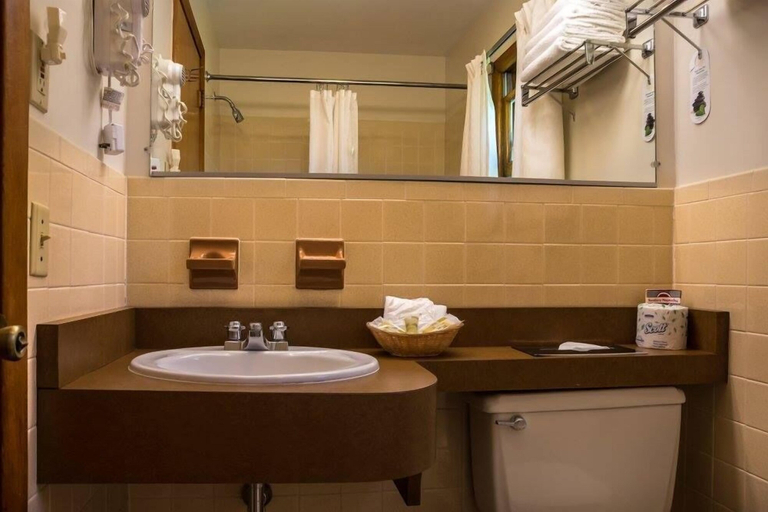 Bathroom 3, T-Bird Motor Inn, Chittenden