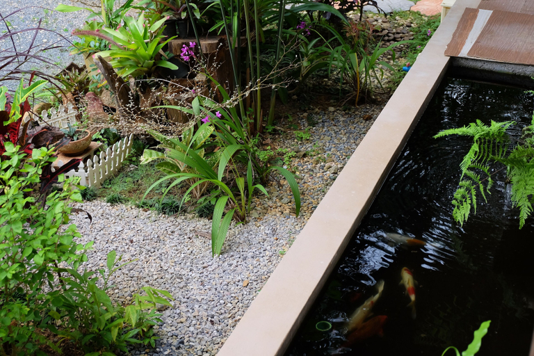Sport & Beauty, Tonpalm Farmstay, Khlong Thom