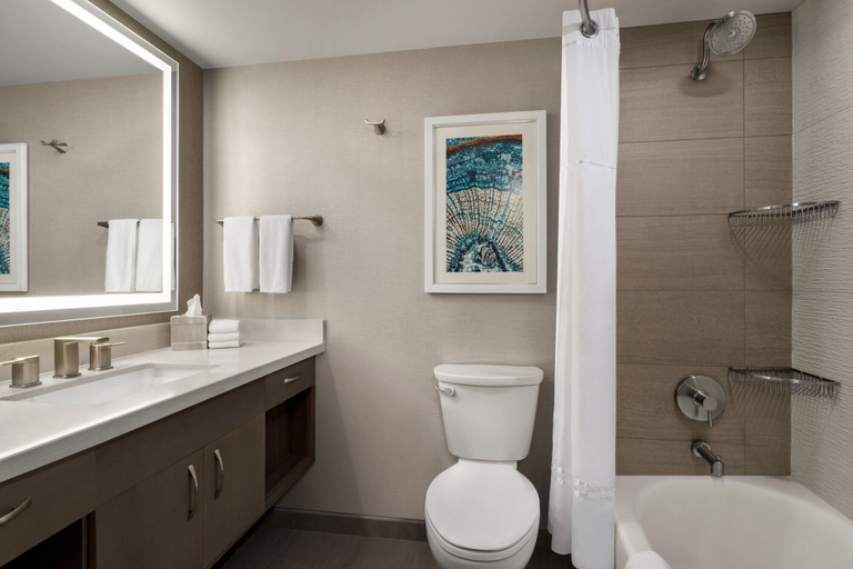 Bathroom 5, Hilton DFW Lakes Executive Conference Center, Tarrant