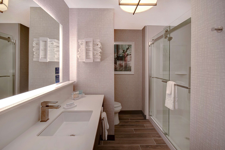 Bathroom 4, Hampton Inn Tucson Downtown, Pima