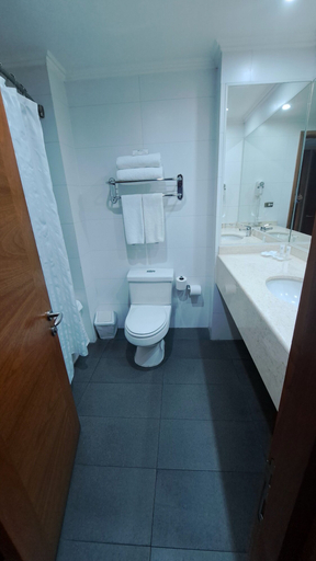 Bathroom 4, Hotel Diego de Almagro Temuco, Cautín