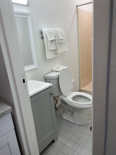 Bathroom 5, Rodeway Inn Charlotte Independence Blvd., Mecklenburg