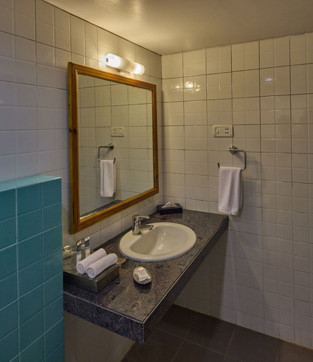 Bathroom 5, Golden Amoon Resort, Kolar