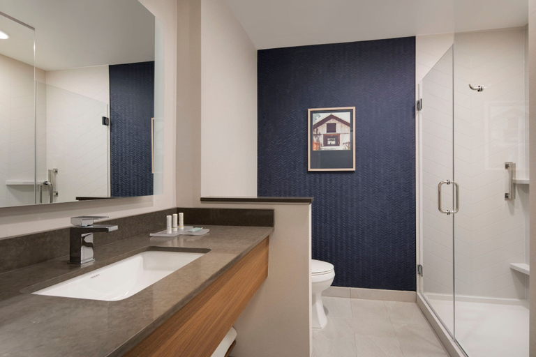Bathroom 3, Fairfield Inn & Suites by Marriott Franklin Cool Springs, Williamson