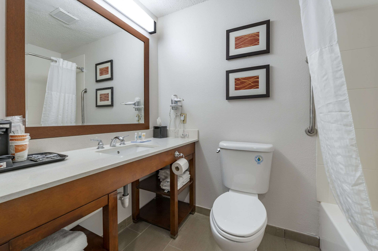Bathroom 5, Comfort Inn Plainfield - Indianapolis Airport, Hendricks