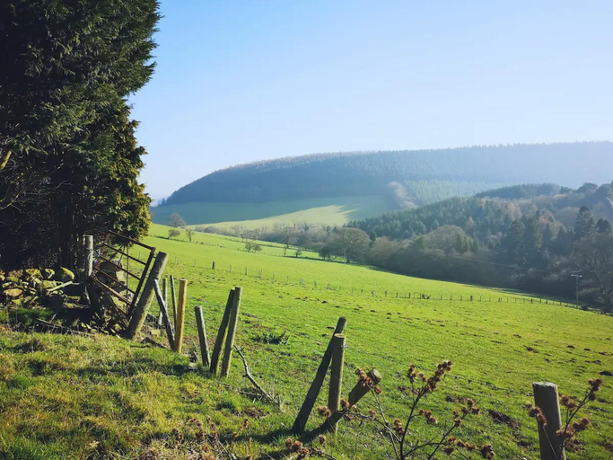 Others 2, 2 x Double Bed, Glamping Wagon in Dalby Forest, North Yorkshire