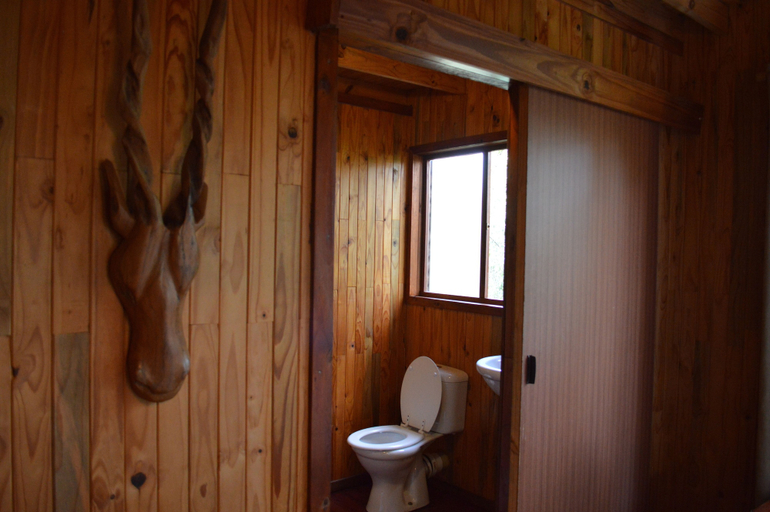 Bathroom 3, Lion Tree Bush Lodge, Ehlanzeni