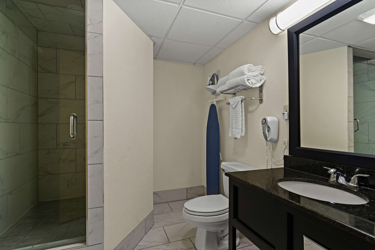 Bathroom 4, Best Western Windsor Suites, Washington