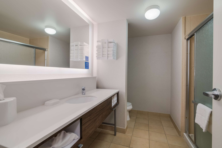 Bathroom 4, Hampton Inn & Suites Plattsburgh, Clinton