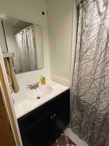 Bathroom 3, Treetops in Town, Kanawha