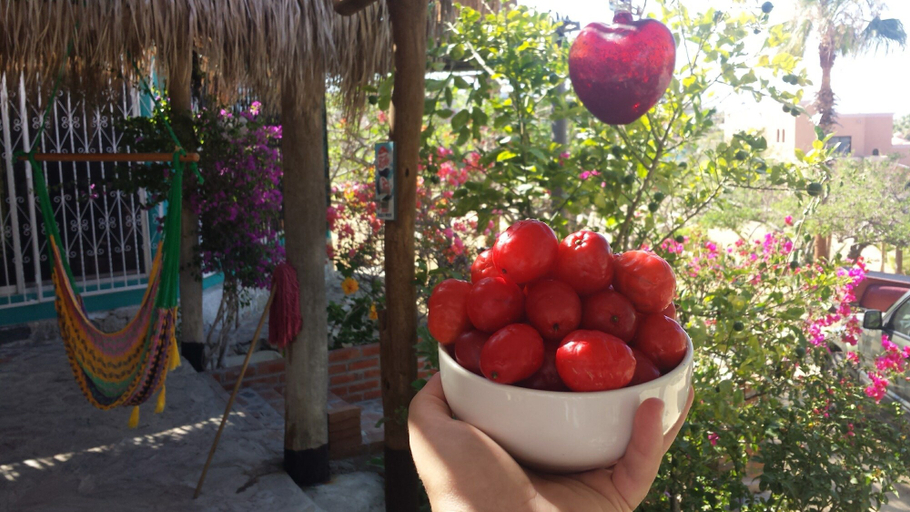 Food & Drinks, Casa Dominguez Apartment 4, La Paz