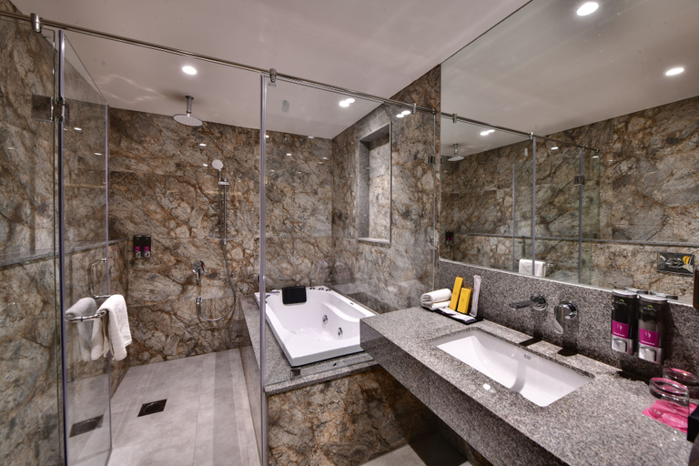 Bathroom 5, Regenta Fairlark Vadodara, Vadodara