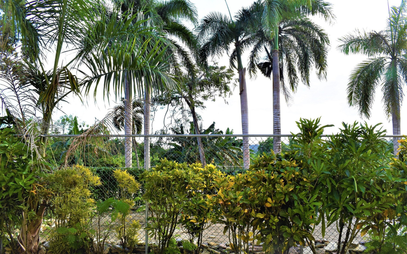 Others 5, Tropical Casa Laguna, Sosua