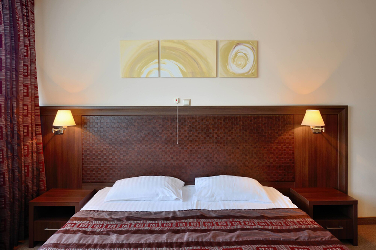 Bedroom 5, Sana Spa Hotel, Hisar
