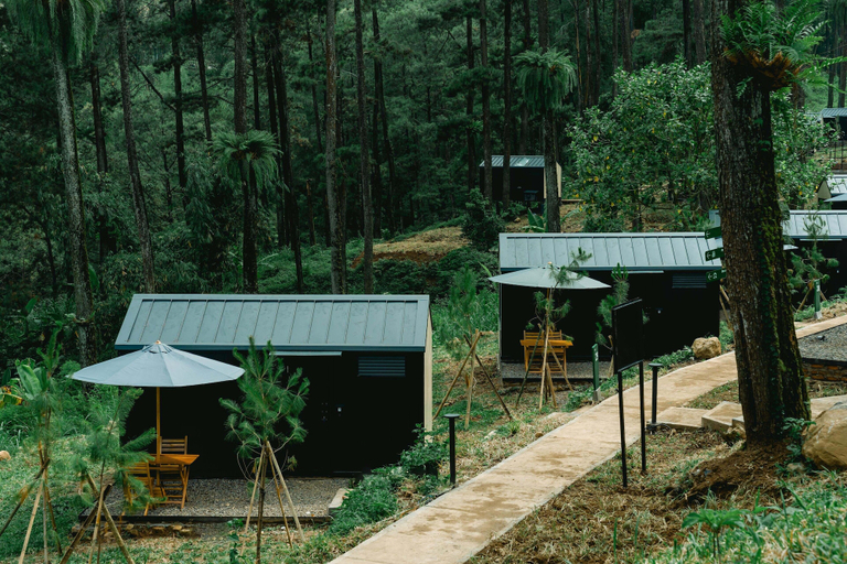 Others 5, Bobocabin Pacet, Mojokerto