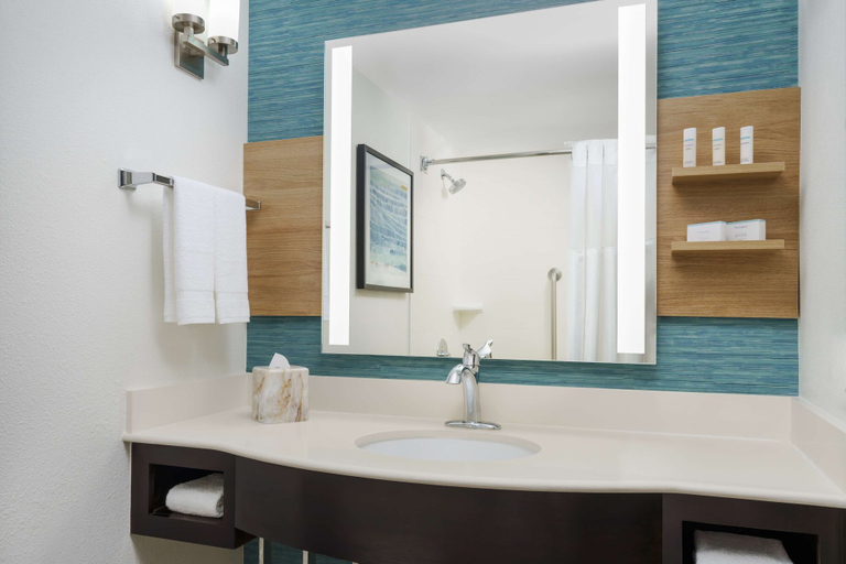 Bathroom 4, Hilton Garden Inn Orlando at SeaWorld, Orange