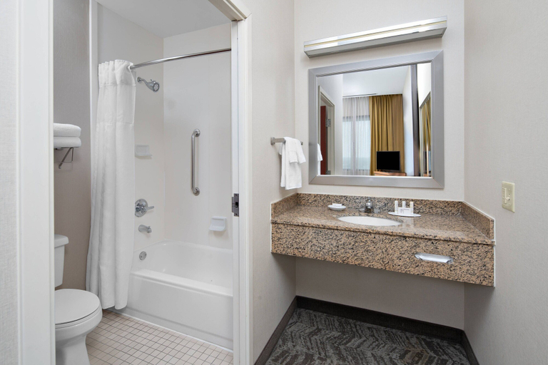 Bathroom 4, SpringHill Suites Chicago O'Hare, Cook