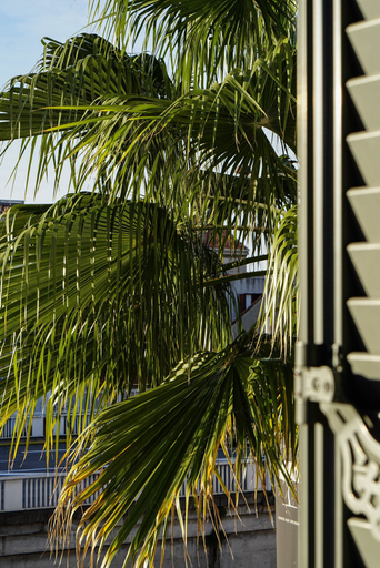 Exterior & Views, Hôtel Pruly, Alpes-Maritimes