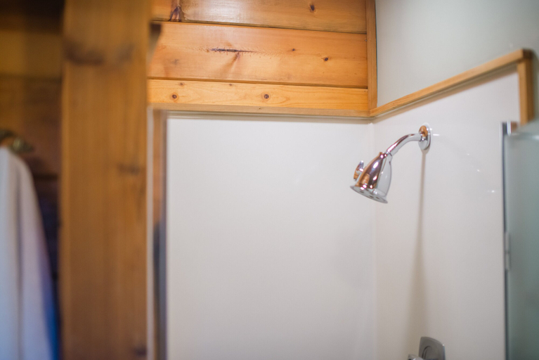 Bathroom 5, Steamboat Inn, Douglas