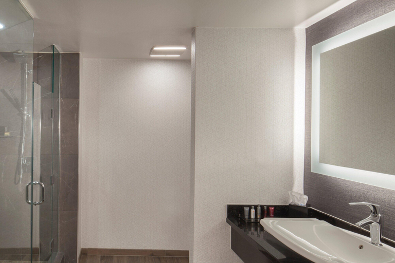 Bathroom 5, Dallas Marriott Downtown, Dallas