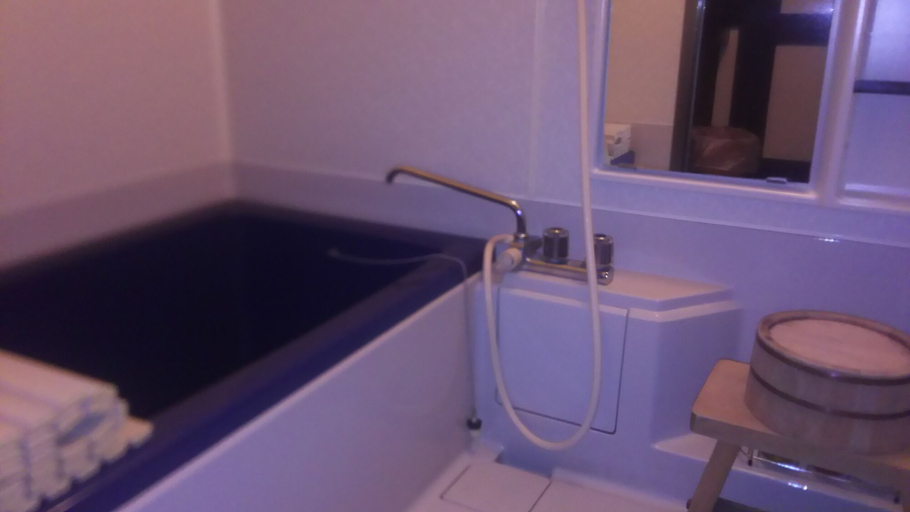Bathroom 3, Hazu Gassyo, Shinshiro