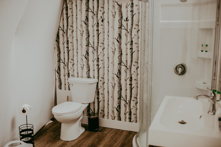 Bathroom 4, Glamp Camp, Queens