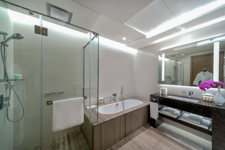 Bathroom 5, Hyatt Regency Dubai Creek Heights, Dubai