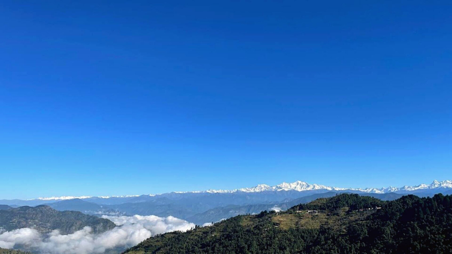 Others 4, The Royals Apricot Garden, Tehri Garhwal