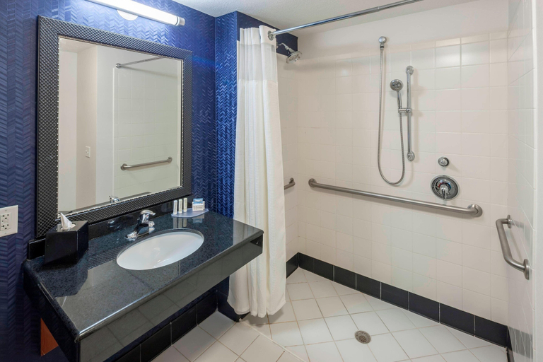 Bathroom 4, Fairfield by Marriott Inn & Suites Austin Parmer/Tech Ridge, Travis