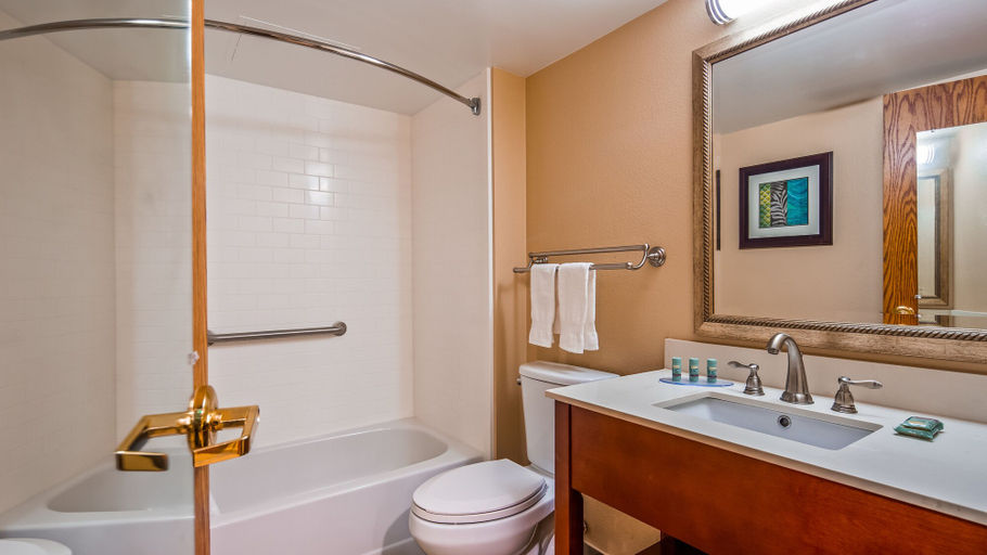 Bathroom 4, Best Western Warren Hotel, Macomb