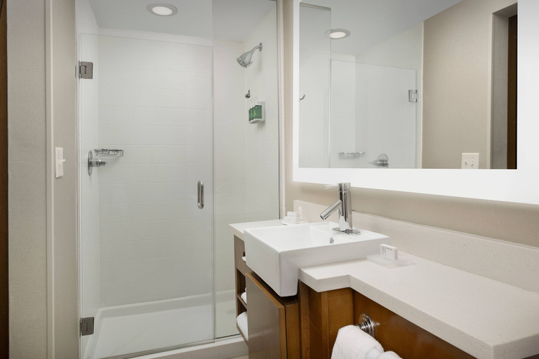 Bathroom 3, SpringHill Suites Jackson North/Ridgeland, Madison
