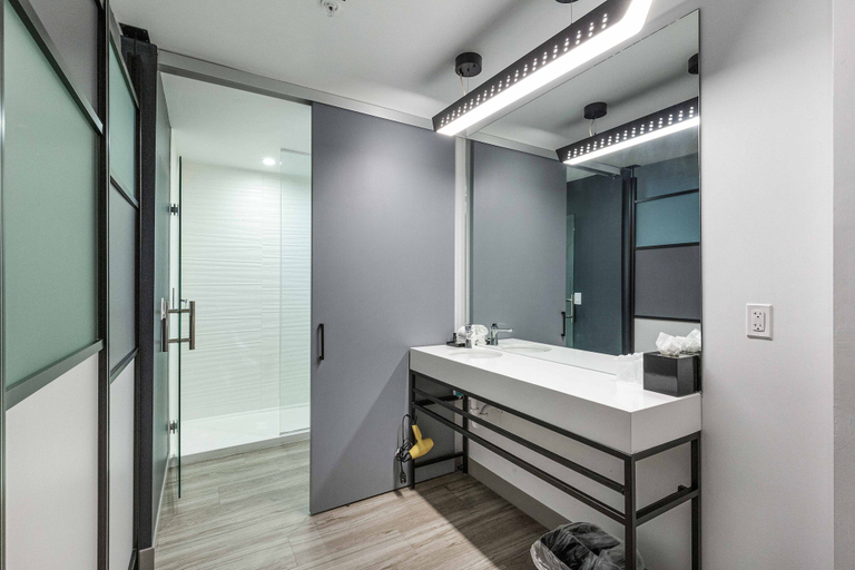 Bathroom 4, Aloft by Marriott Austin Round Rock, Williamson