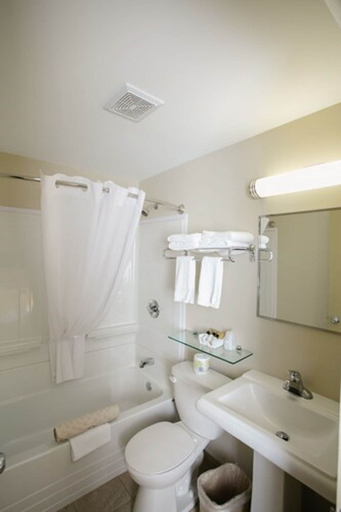 Bathroom 2, The Sleepy Owl, Rainy River