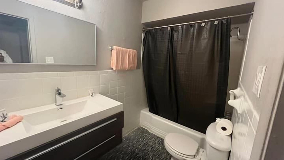 Bathroom 2, East Dallas Paradise Getaway, Dallas