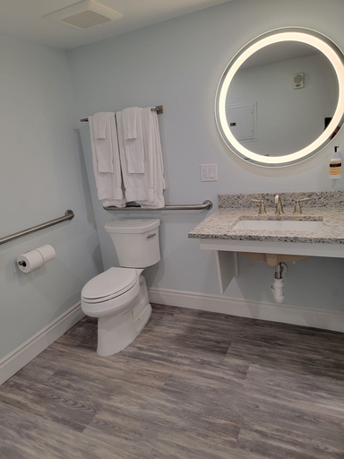 Bathroom 5, Silver Surf Gulf Beach Resort, Manatee