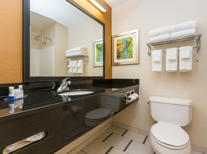 Bathroom 4, Fairfield Inn and Suites by Marriott Des Moines West, Dallas