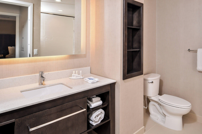 Bathroom 4, Residence Inn by Marriott Charlotte Northlake, Mecklenburg