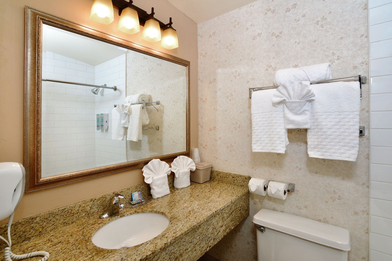 Bathroom 4, Lamplighter Inn & Suites at SDSU, San Diego