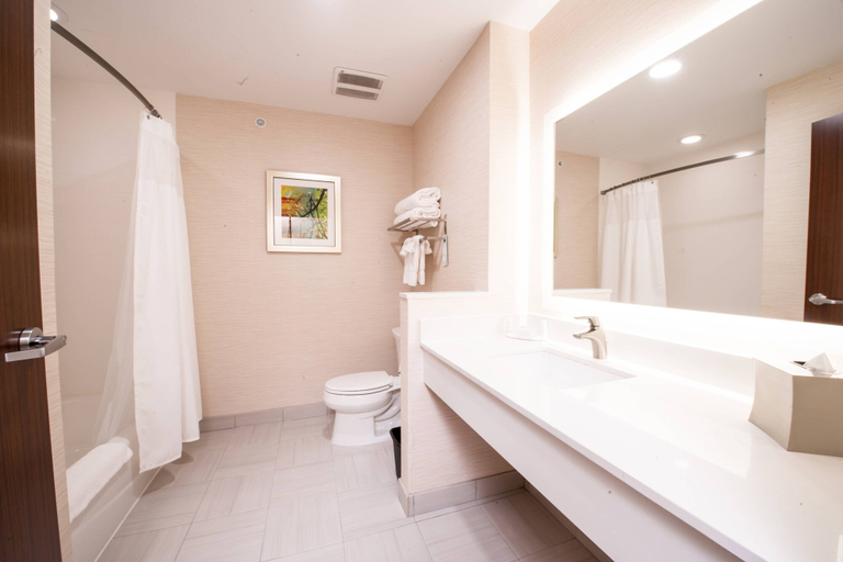 Bathroom 5, Fairfield Inn & Suites Dallas Plano North, Collin
