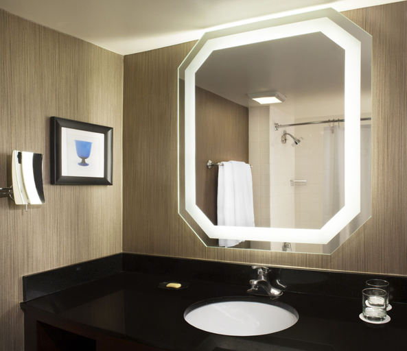 Bathroom 4, Sheraton DFW Airport Hotel, Irving