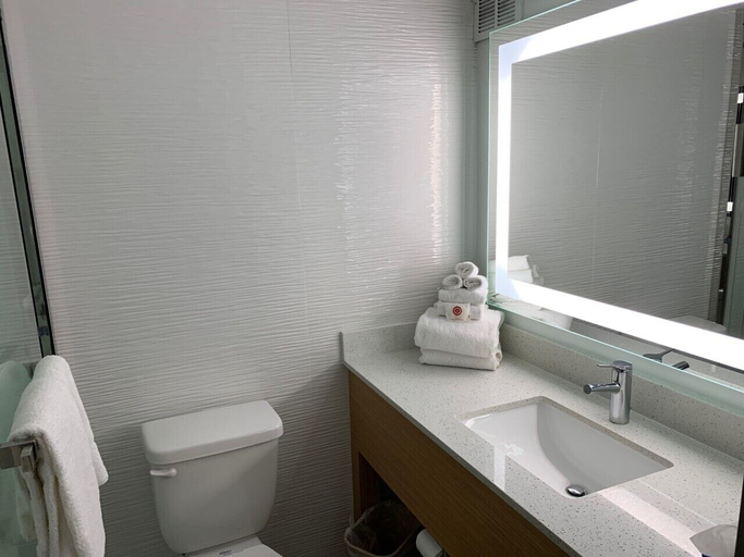 Bathroom 5, Comfort Inn & Suites Nashville Downtown – Stadium, Davidson