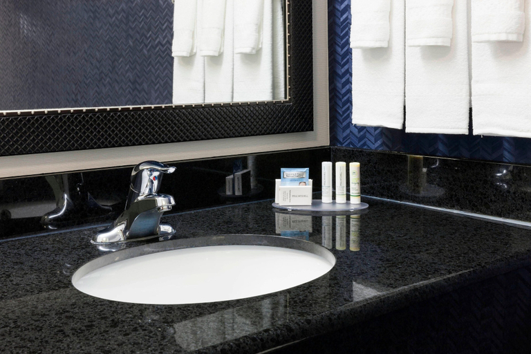 Bathroom 4, Fairfield by Marriott Inn & Suites Austin Parmer/Tech Ridge, Travis
