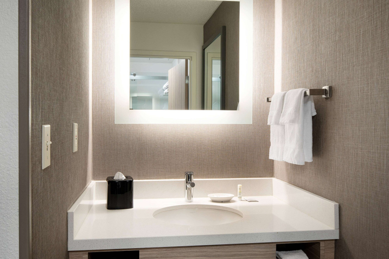 Bathroom 4, Sonesta Select Seattle Renton Suites, King