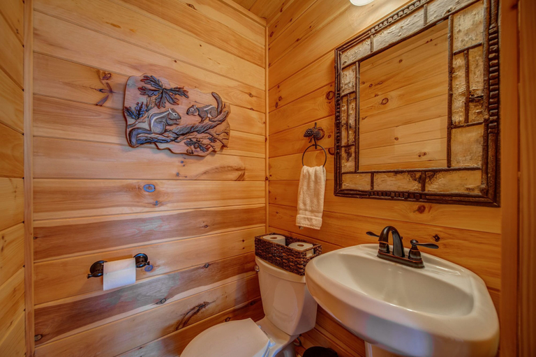 Bathroom 4, Wren's Nest, Fannin